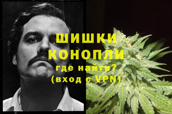 ПСИЛОЦИБИНОВЫЕ ГРИБЫ Покров