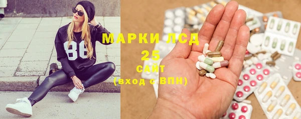 ПСИЛОЦИБИНОВЫЕ ГРИБЫ Покров