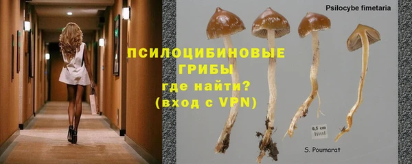дурь Приозерск
