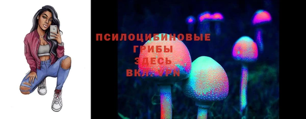 прущие крисы Пролетарск