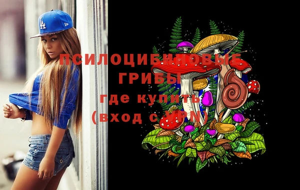 тгк Бежецк