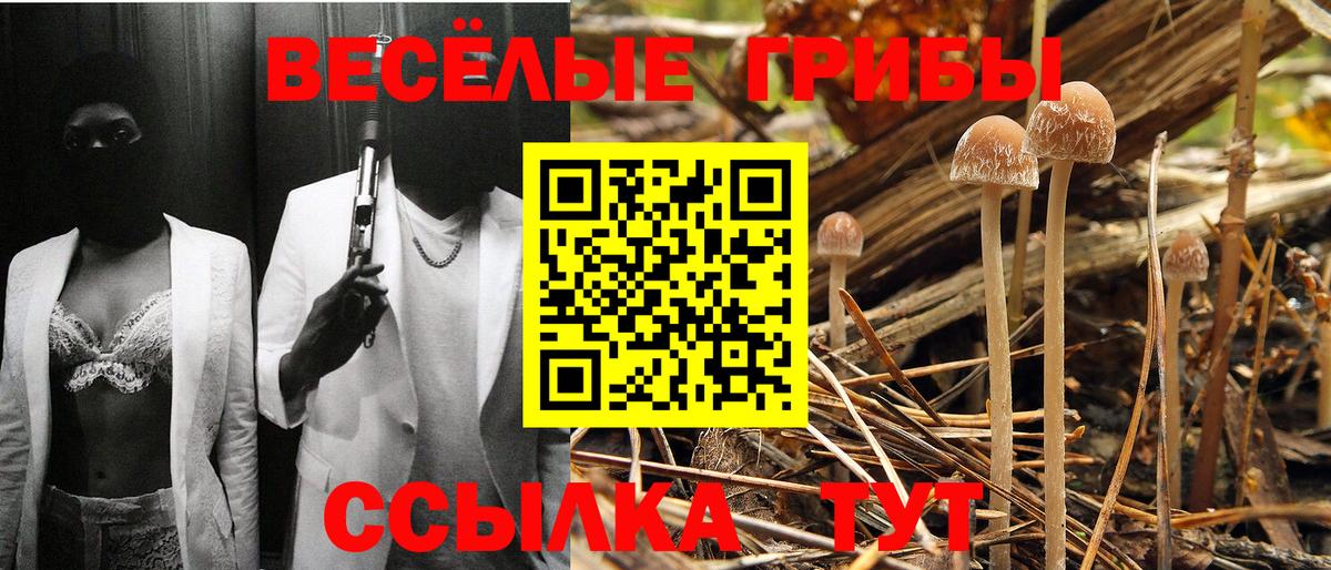 Галлюциногенные грибы MAGIC MUSHROOMS Асино